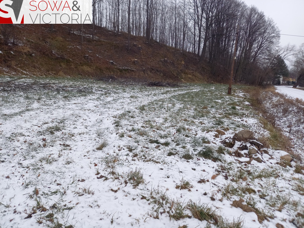 Działka Sprzedaż Chwaliszów 1