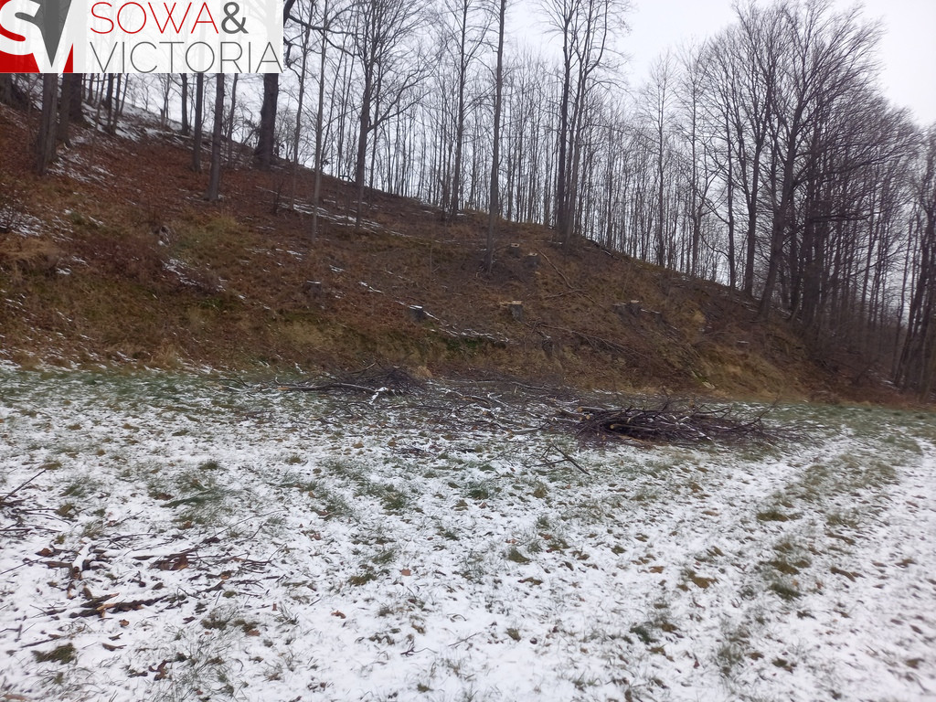 Działka Sprzedaż Chwaliszów 5
