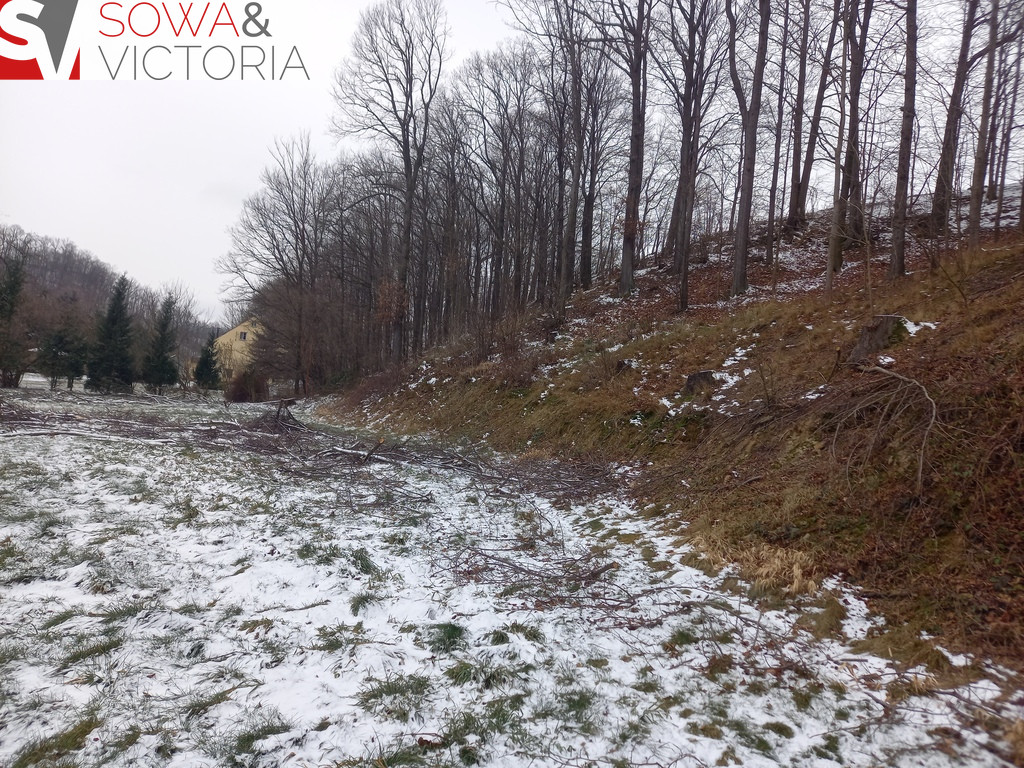 Działka Sprzedaż Chwaliszów 4