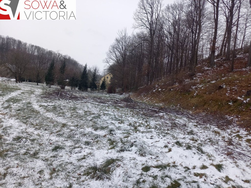 Działka Sprzedaż Chwaliszów 2
