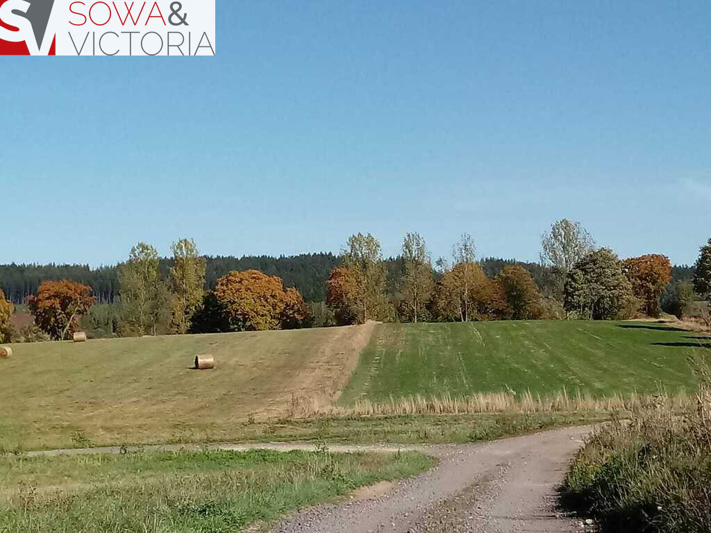 Działka Sprzedaż Gorzeszów 1