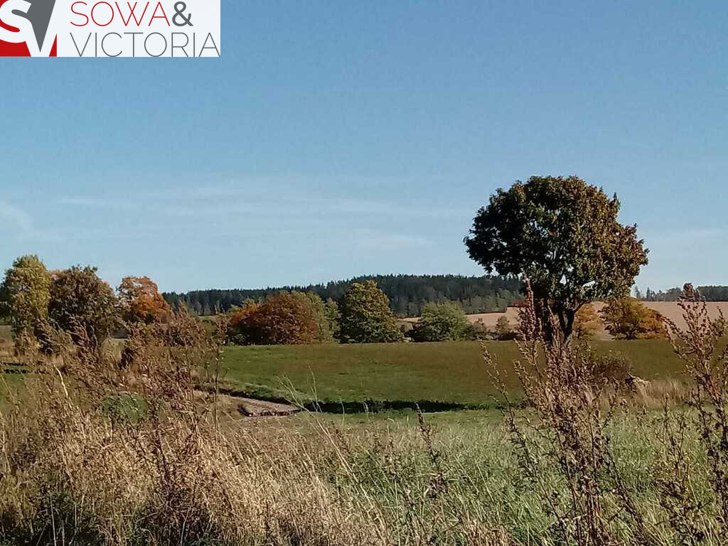 Działka Sprzedaż Gorzeszów 2