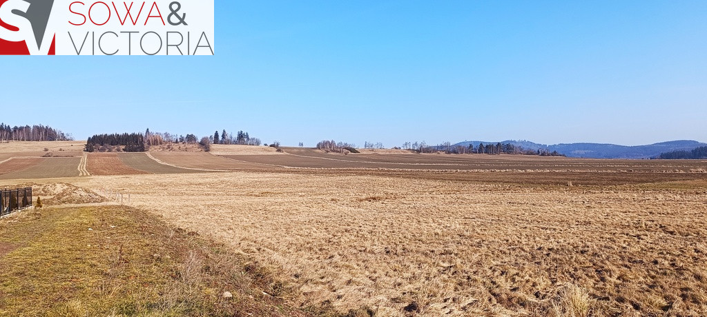 Działka Sprzedaż Borówno 4