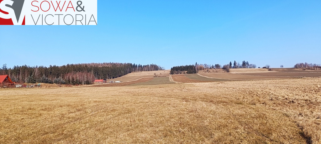 Działka Sprzedaż Borówno 3