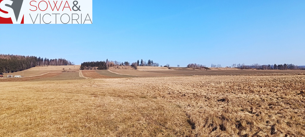 Działka Sprzedaż Borówno 5