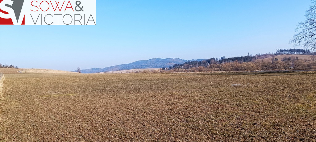 Działka Sprzedaż Borówno 6