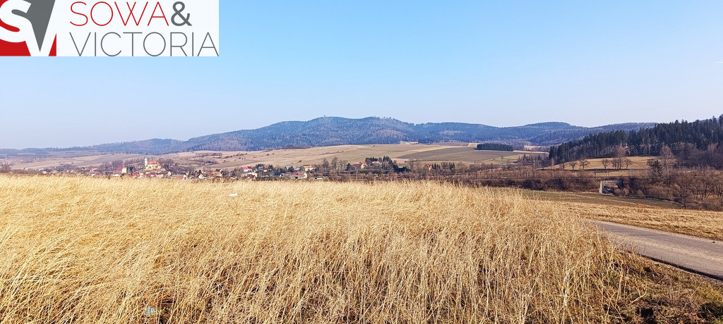 Działka Sprzedaż Borówno 2