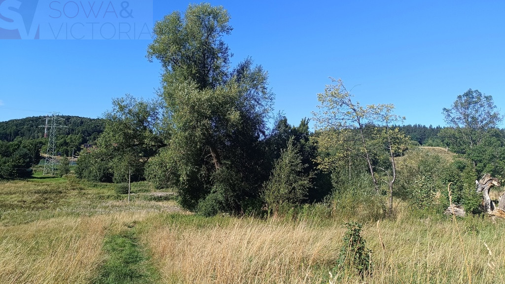 Działka Sprzedaż Boguszów-Gorce 8