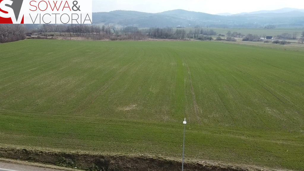 Działka Sprzedaż Dziećmorowice Stary Julianów 13