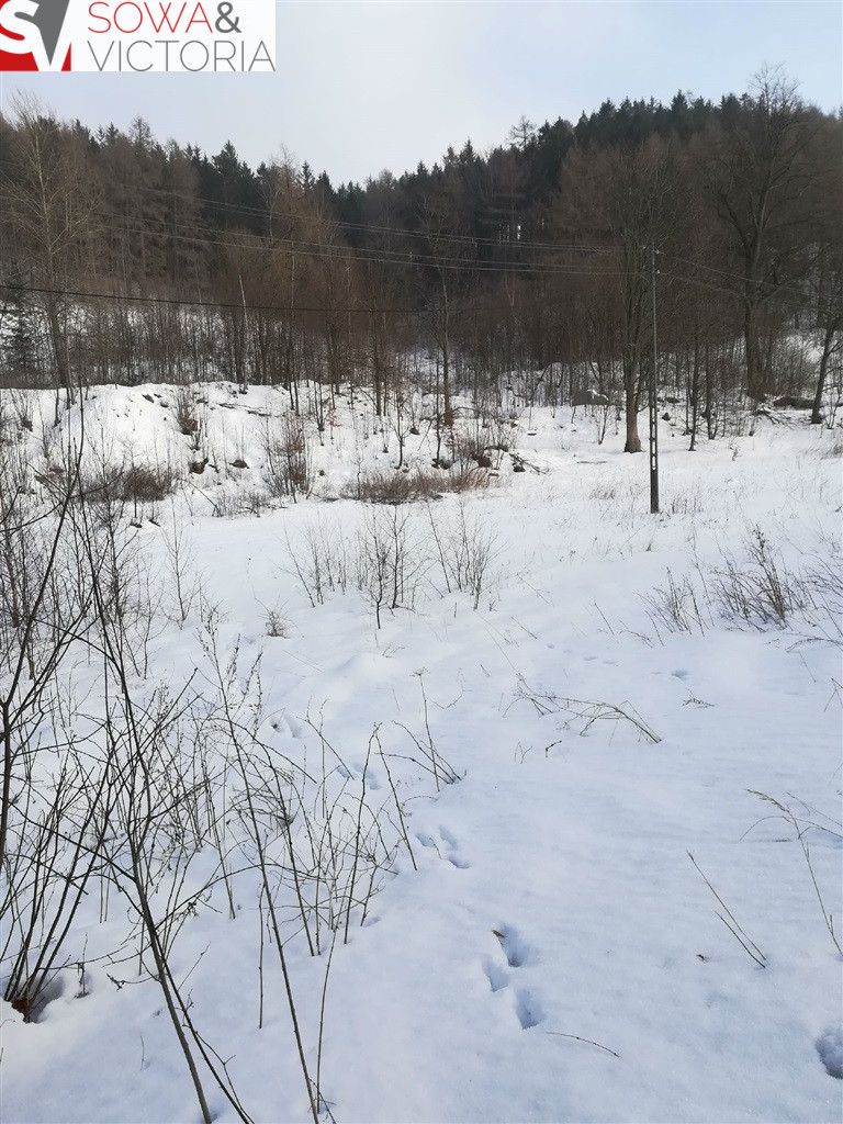 Działka Sprzedaż Boguszów-Gorce 8