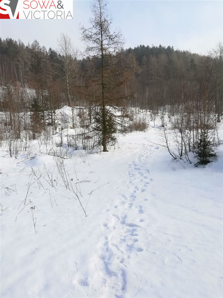 Działka Sprzedaż Boguszów-Gorce 11