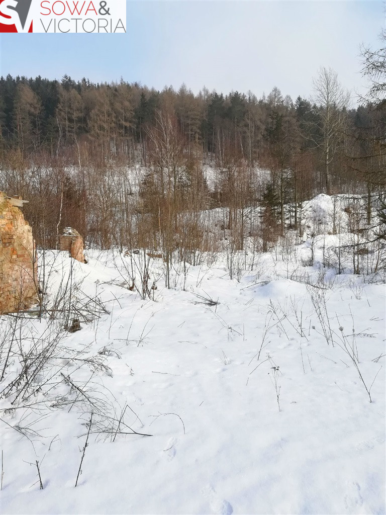 Działka Sprzedaż Boguszów-Gorce 12