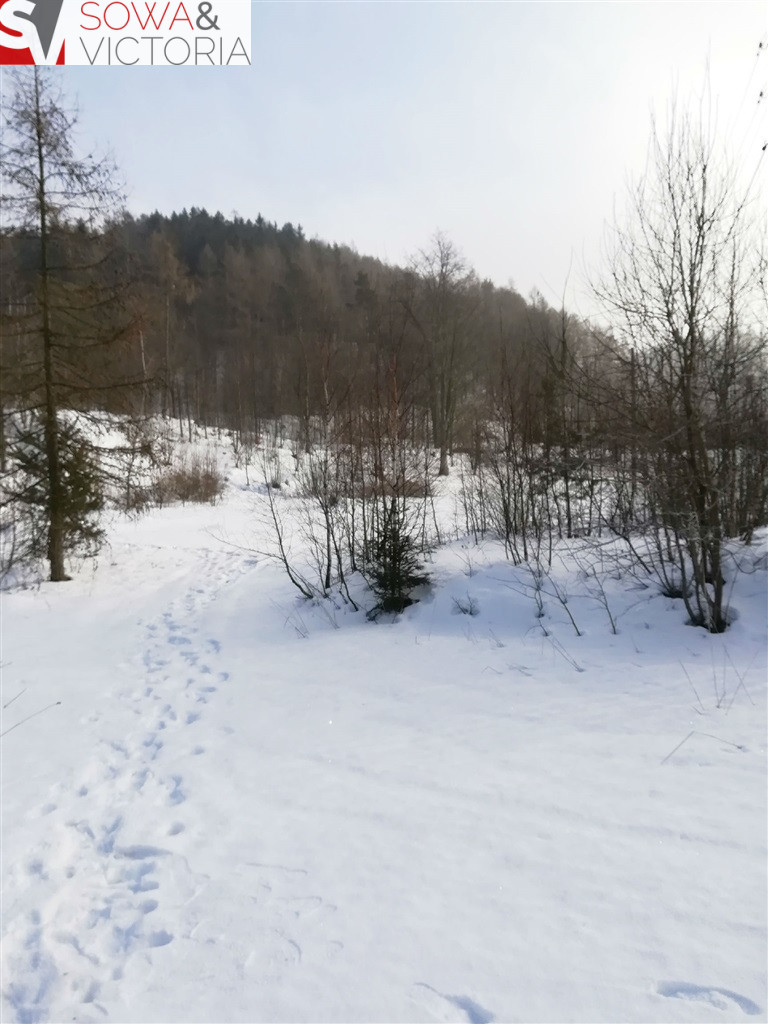 Działka Sprzedaż Boguszów-Gorce 13