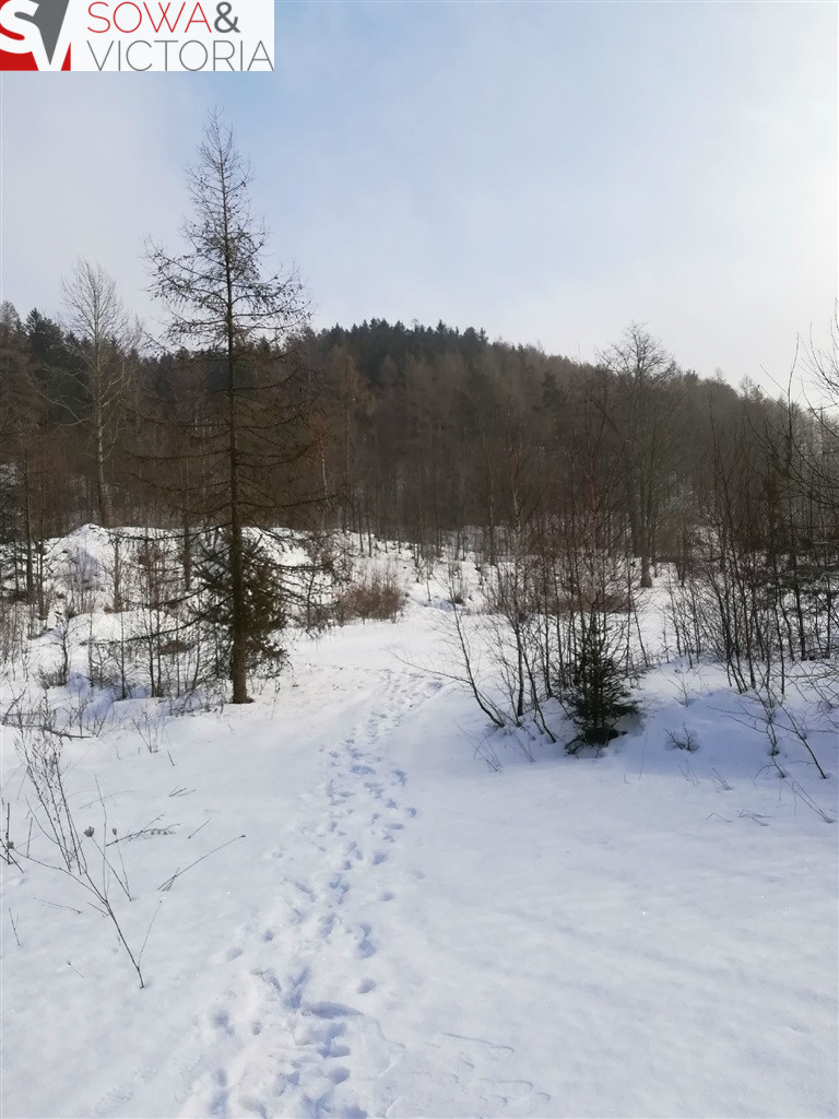 Działka Sprzedaż Boguszów-Gorce 14