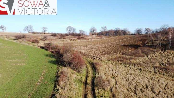 Działka Sprzedaż Wałbrzych Lubiechów 2