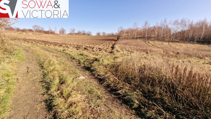 Działka Sprzedaż Wałbrzych Lubiechów 7