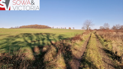 Działka Sprzedaż Wałbrzych Lubiechów