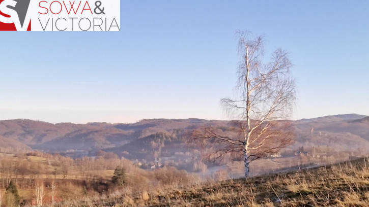 Działka Sprzedaż Zagórze Śląskie 12