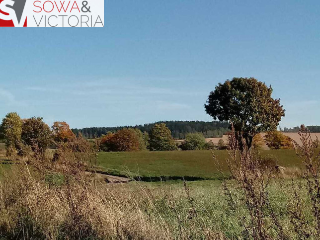 Działka Sprzedaż Gorzeszów 2
