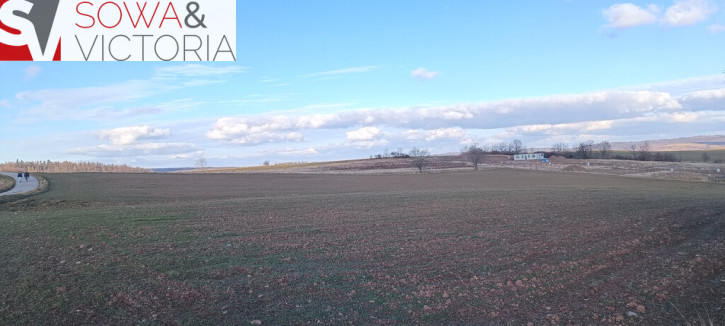 Działka Sprzedaż Stare Bogaczowice 5
