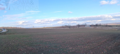 Działka Sprzedaż Stare Bogaczowice
