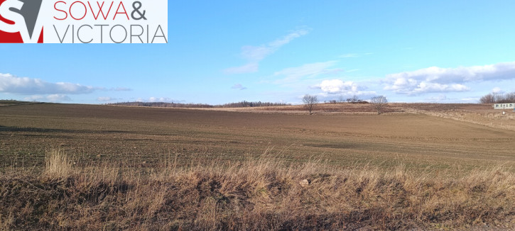 Działka Sprzedaż Stare Bogaczowice 2