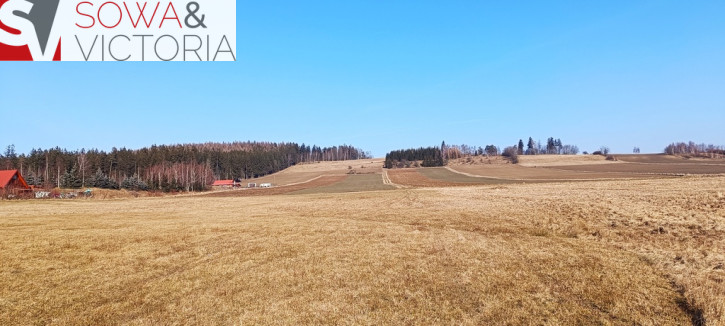 Działka Sprzedaż Borówno 3