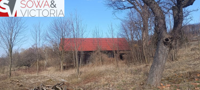 Działka Sprzedaż Olszyniec
