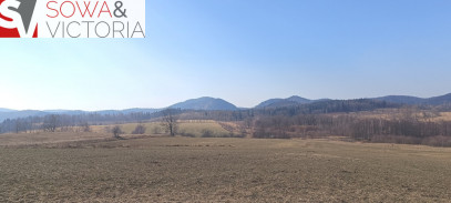 Działka Sprzedaż Olszyniec