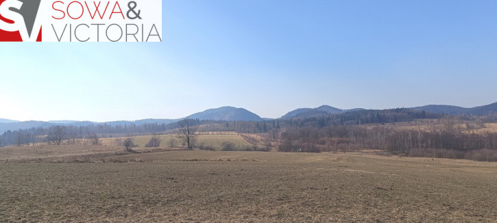 Działka Sprzedaż Olszyniec 1