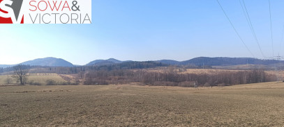 Działka Sprzedaż Olszyniec