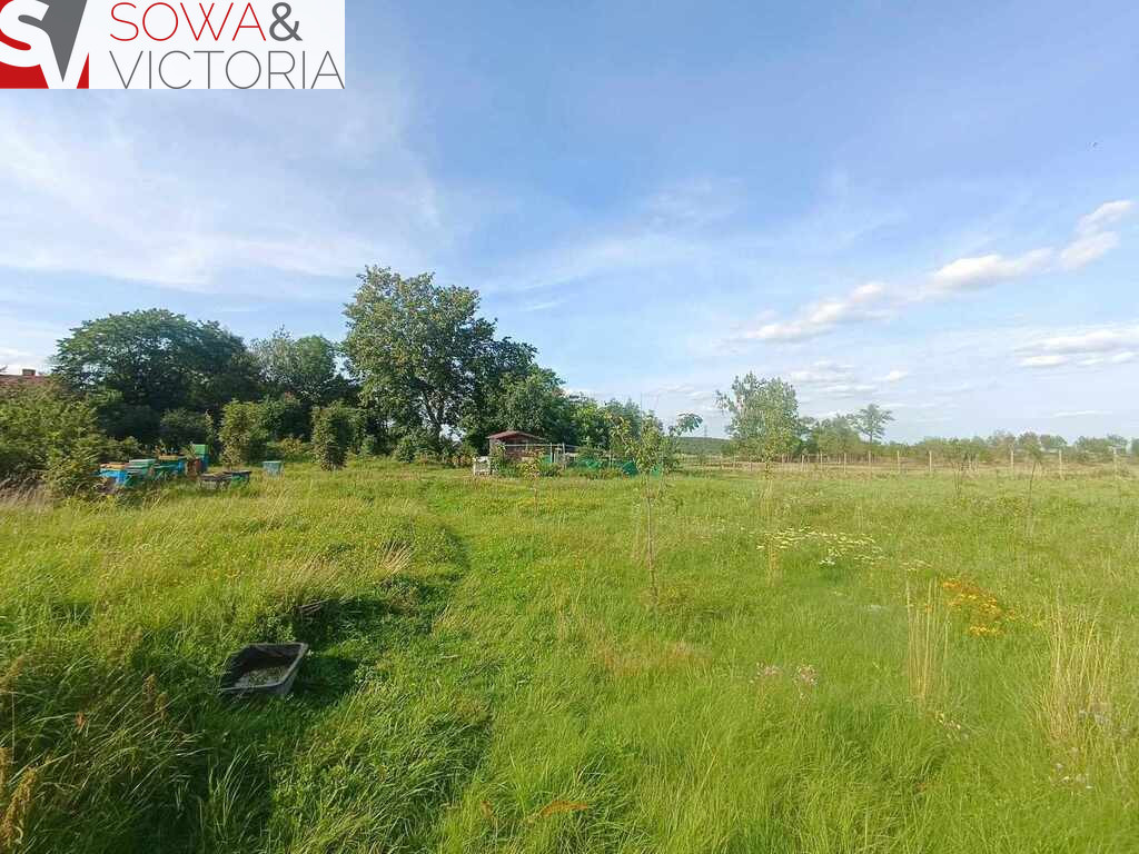Działka Sprzedaż Cieszów