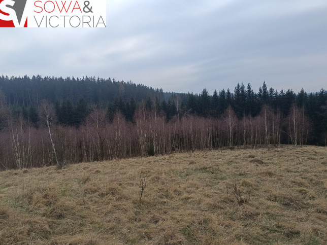 Działka Sprzedaż Grzędy 6