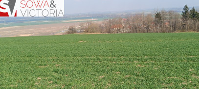 Działka Sprzedaż Dobromierz