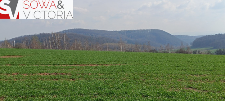 Działka Sprzedaż Dobromierz 5