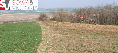 Działka Sprzedaż Dobromierz