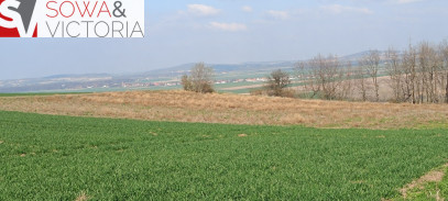 Działka Sprzedaż Dobromierz
