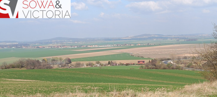 Działka Sprzedaż Dobromierz 1