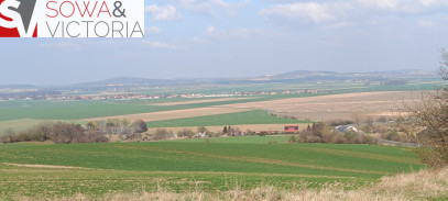 Działka Sprzedaż Dobromierz