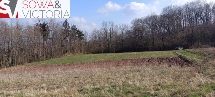 Działka Sprzedaż Dobromierz 8
