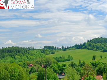 Działka Sprzedaż Jedlina-Zdrój Kamieńsk