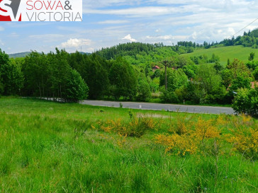 Działka Sprzedaż Jedlina-Zdrój Kamieńsk
