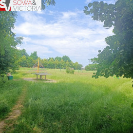 Mieszkanie Wynajem Świdnica