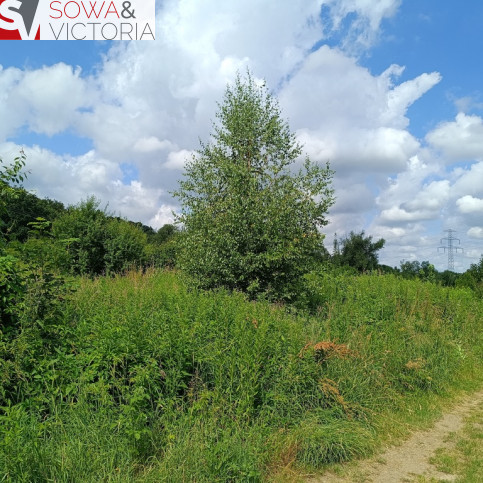 Działka Sprzedaż Świebodzice 3