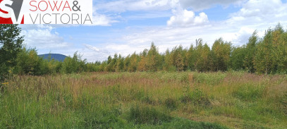 Działka Sprzedaż Wałbrzych Gaj