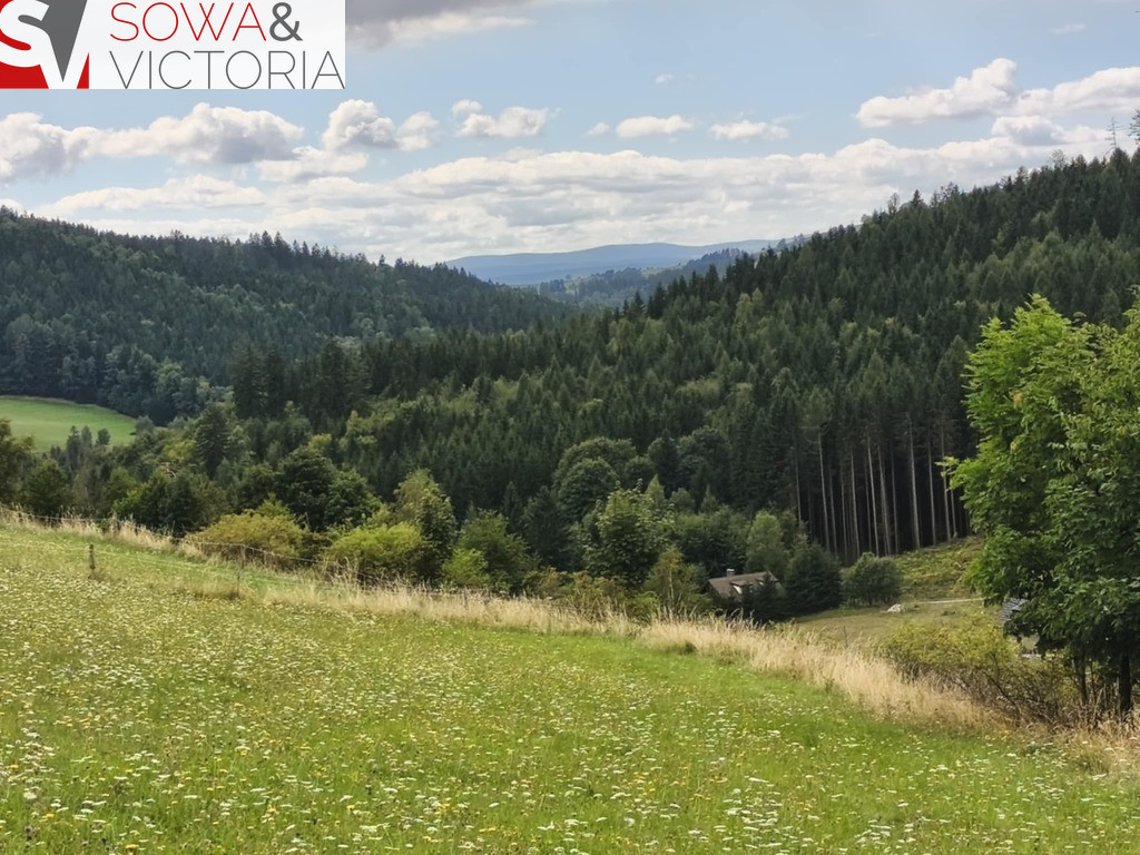 Działka Sprzedaż Sokolec