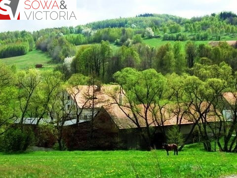 Dom Sprzedaż Olszyniec 26