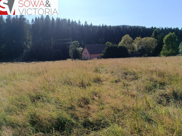 Działka Sprzedaż Bartnica