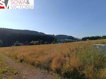 Działka Sprzedaż Bartnica