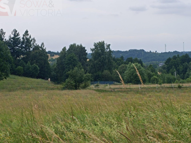 Działka Sprzedaż Stare Bogaczowice 1